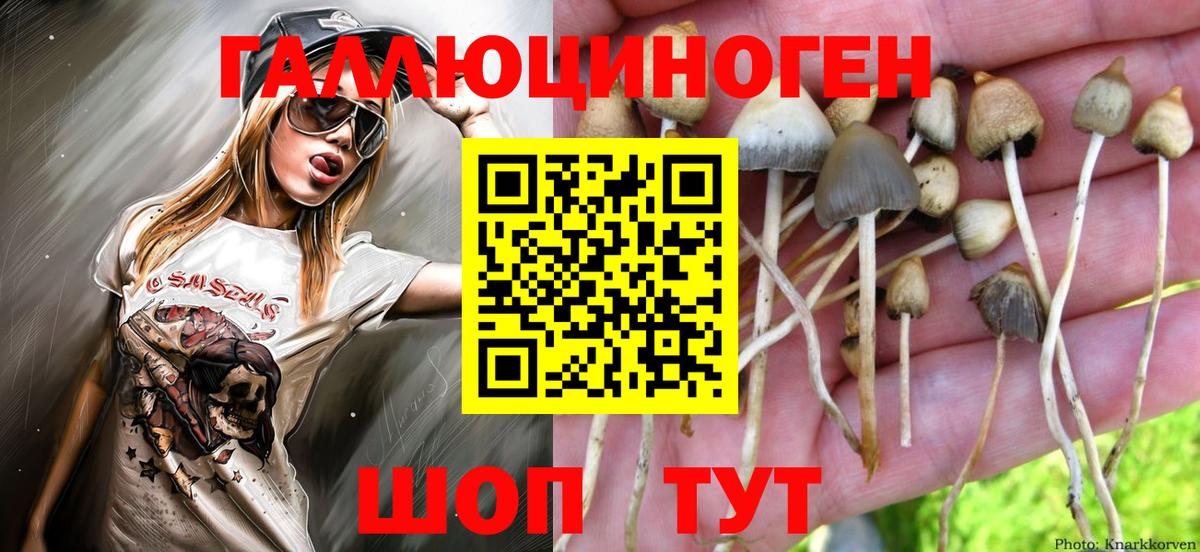 Ялта  Псилоцибиновые грибы MAGIC MUSHROOMS  Вход с VPN 